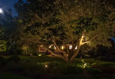 Winesett Nursery & Landscaping - Custom Home Builders in Virginia Beach, VA