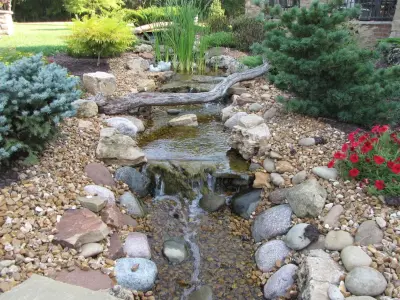 Alfresco Living and Pool Design — Landscape Construction project by Outdoor Innovations