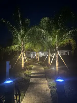 Palomares Landscaping LLC - Tree Planting & Transplanting in Palm Coast, FL