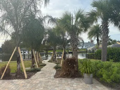 Palomares Landscaping LLC - Tree Planting & Transplanting in Palm Coast, FL