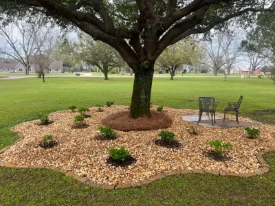 P&C Solutions - Tree & Shrub Care in Daphne, AL