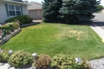 APS Alpine Property Services - Tree & Shrub Care in Montrose, CO