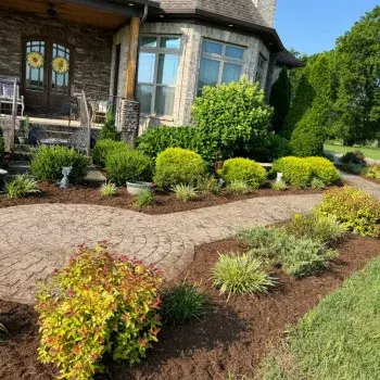 Evergreen Landscaping - Tree & Shrub Care in McMinnville, OR