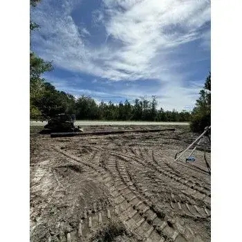 Diversified GreenScapes, LLC - Tree & Shrub Care in Hahira, GA