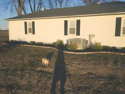 Shelton's Mowing and Landscaping - Tree & Shrub Care in Malden, MO