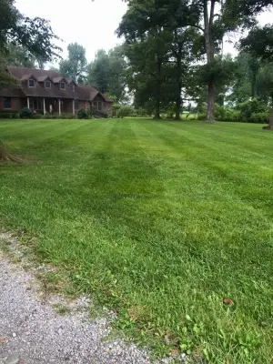 Shelton's Mowing and Landscaping - Tree & Shrub Care in Malden, MO