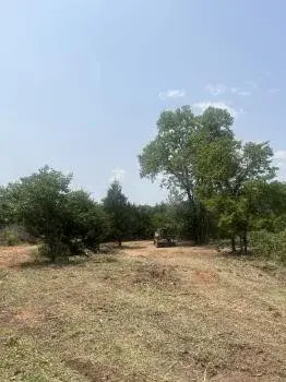 AHR Forestry Mulching and Land Clearing - Tree & Shrub Care in Edmond, OK
