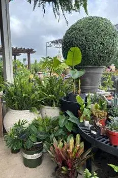 Doctor's Lawn and Landscape - Tree & Shrub Care in Sunrise Beach, MO