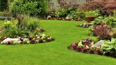 Turfection Commercial N' Residential Lawn N' Home - Handyman Services in Willard, MO