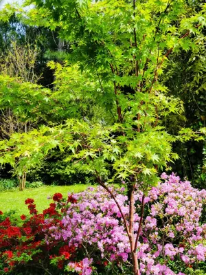 Garden and Plant Recipes — Landscape Construction project by Kingdom Landscape