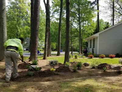 Wintergreen Landscape Maintenances - Tree & Shrub Care in Waldorf, MD