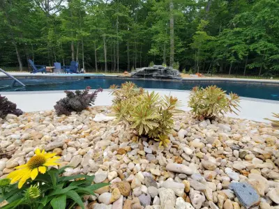 Wintergreen Landscape Maintenances - Tree & Shrub Care in Waldorf, MD