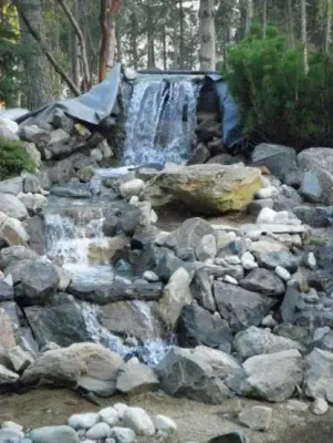 Jeremiah Wheeler Landscape & Gardening - Tree & Shrub Care in Redding, CA