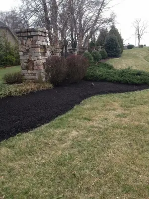 Extreme Design Landscaping - Tree & Shrub Care in Roanoke, VA