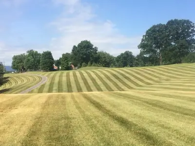 Extreme Design Landscaping - Tree & Shrub Care in Roanoke, VA