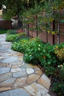 Solid Ground Landscape - Tree & Shrub Care in Ashland, OR