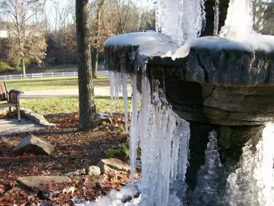 Crider Landscaping - Tree & Shrub Care in Soddydaisy, TN