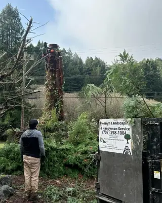Project Four — Landscape Construction project by Blossom Landscaping & Handyman Service