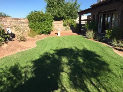 M&V complete yard service - Landscape Construction in Yuma, AZ