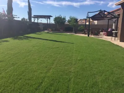 M&V complete yard service - Landscape Construction in Yuma, AZ