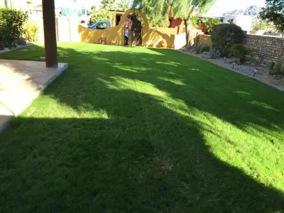 M&V complete yard service - Landscape Construction in Yuma, AZ
