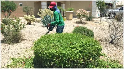 Dixie Yard Care - Custom Home Builders in Saint George, UT