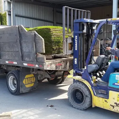 ProScapes Efforts in Action — Landscape Construction project by ProScapes