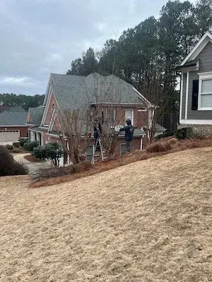 Lawn Frogs Landscaping - Tree & Shrub Care in Dallas, GA