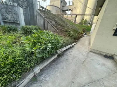 Roanoke Excavating and Landscapes - Tree & Shrub Care in Roanoke, VA