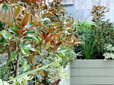 Tallahassee Nurseries - Design-Build Services in Tallahassee, FL