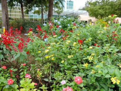 Tallahassee Nurseries - Design-Build Services in Tallahassee, FL