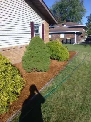 S and H Landscaping - Tree & Shrub Care in Fort Wayne, IN