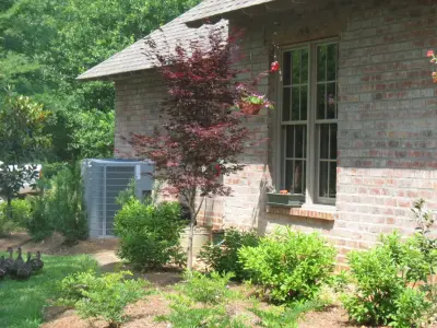 TaylorScapes - Deck Building & Repair in Alexandria, LA