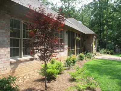 TaylorScapes - Deck Building & Repair in Alexandria, LA