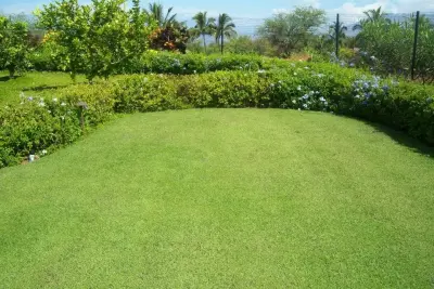 Southwest Greens Hawaii - Landscape Construction in Kailuakona, HI