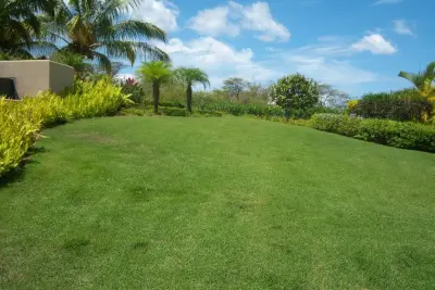 Southwest Greens Hawaii - Landscape Construction in Kailuakona, HI