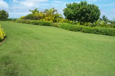 Southwest Greens Hawaii - Landscape Construction in Kailuakona, HI