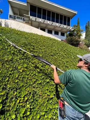 Lē'ahi Landscaping - Tree & Shrub Care in Honolulu, HI