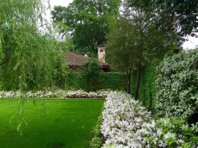 Coyle & Associates - Tree & Shrub Care in Houston, TX