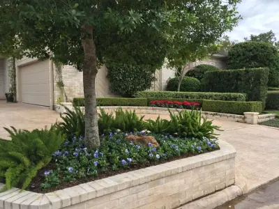 Coyle & Associates - Tree & Shrub Care in Houston, TX