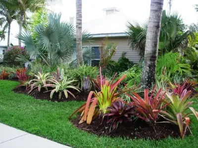 Photoscape Landscape and Design - Tree & Shrub Care in Fort Myers, FL