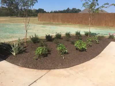J&J Specialty Lawn & Landscaping - Landscape Construction in Natchitoches, LA