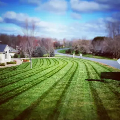 The Grounds Crew, LLC. - Tree & Shrub Care in Onalaska, WI
