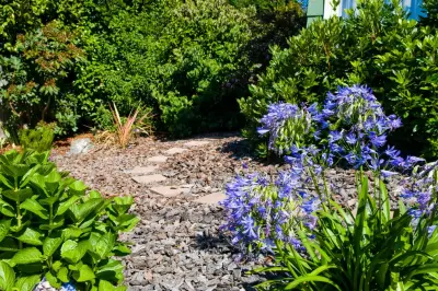 Humboldt Landscape - Junk Removal & Hauling in Arcata, CA
