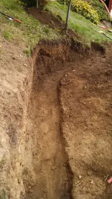 Marlinski Landscape & Stone Work - Tree Planting & Transplanting in Lakewood, NY