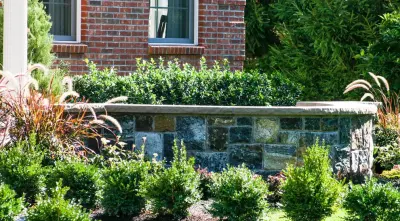 Pearl Landscaping & Patio Company - Tree & Shrub Care in Clifton Park, NY