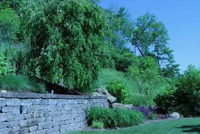 TerraGreen - Landscape Construction in Pittsburgh, PA