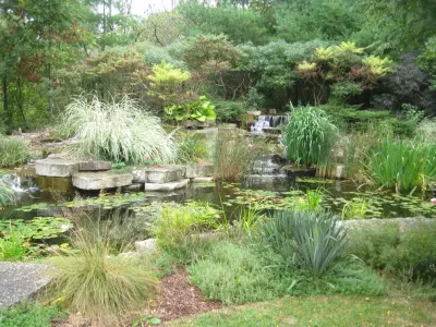 Reimagined Patio and Entrance — Landscape Construction project by The Bruce Company