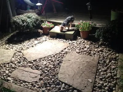 C&P Lawn & Landscaping - Landscape Construction in Triadelphia, WV