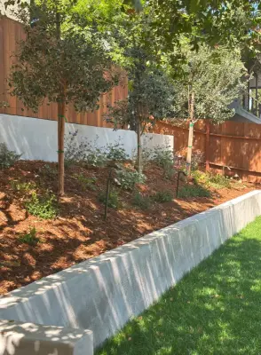 HG Landscape - Tree & Shrub Care in Canyon Country, CA